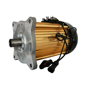 5kW 48V <strong>VW</strong> <strong>Beetle</strong> <strong>Electric</strong> <strong>Conversion</strong> <strong>Kit</strong> - Product Image 4