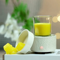 Bougie électrique en céramique vente en gros, brûleur de fusion 2 en 1, chauffe-cire parfumée