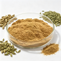 Poudre d'extrait de fenouil naturel de qualité alimentaire en gros pour la matière première des aliments et boissons fonctionnels