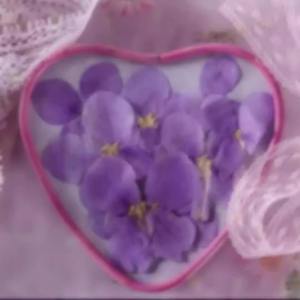 Février orchidée fleur séchée fleur pressée bricolage signets en relief goutte à goutte colle fleur séchée coque de téléphone portable spécimen de plante - Product Image 2