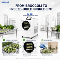 Machine de lyophilisation sous vide pour ingrédients végétaux (brocoli) SJ-05H, capacité de 5-7 kg par lot
