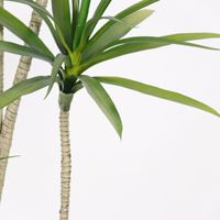 Plante artificielle en plastique Agave en pot, ornement de jardin pour la maison, le bureau, la décoration de jardin, décoration intérieure, plantes artificielles, plantes factices