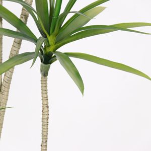 Planta Artificial de <span class=keywords><strong>Agave</strong></span> en Maceta de Plástico, Adorno de Jardín para Decoración del Hogar, Oficina y Jardín, Plantas Artificiales - Product Image 3