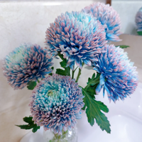 Grosir Bunga Potong Segar Peony Krisan untuk Dekorasi Rumah, Pernikahan, dan Festival dari Yunnan