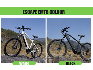 Bicicleta de Montaña eléctrica con motor de tracción media, 48V, 500W/750W, velocidad máxima de hasta 40 km/h, nuevo modelo <span class=keywords><strong>MTB</strong></span> - Product Image 4