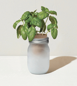 Pots de <span class=keywords><strong>jardin</strong></span> d'herbes écologiques au <span class=keywords><strong>design</strong></span> moderne Cadeaux de cuisine de la taille d'une pinte Pot de fleur en fibre de plante Ensemble de jardinage pour la décoration intérieure - Product Image 4