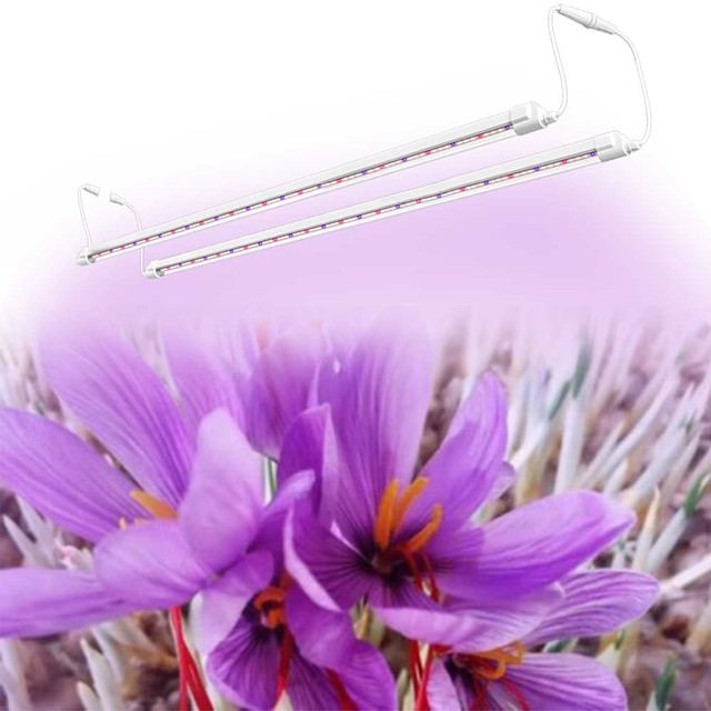 Grow Light for Saffron Full Spectrum Led Grow Light for Indoor Crocus Saffron Greenhouse Cultivation