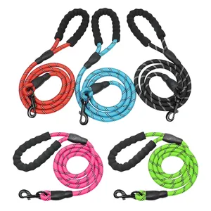 Personalized Custom Heavy Duty Colorful Nylon Polyester No Pull Climbing Rope Lead 5Ft/6Ft/10Ft Dog Leash With Carabiner Hook