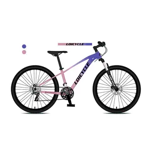 Manufacture 26 27.5 29" inch with 21/24/27 speed mountain bike bicicleta cycle for men