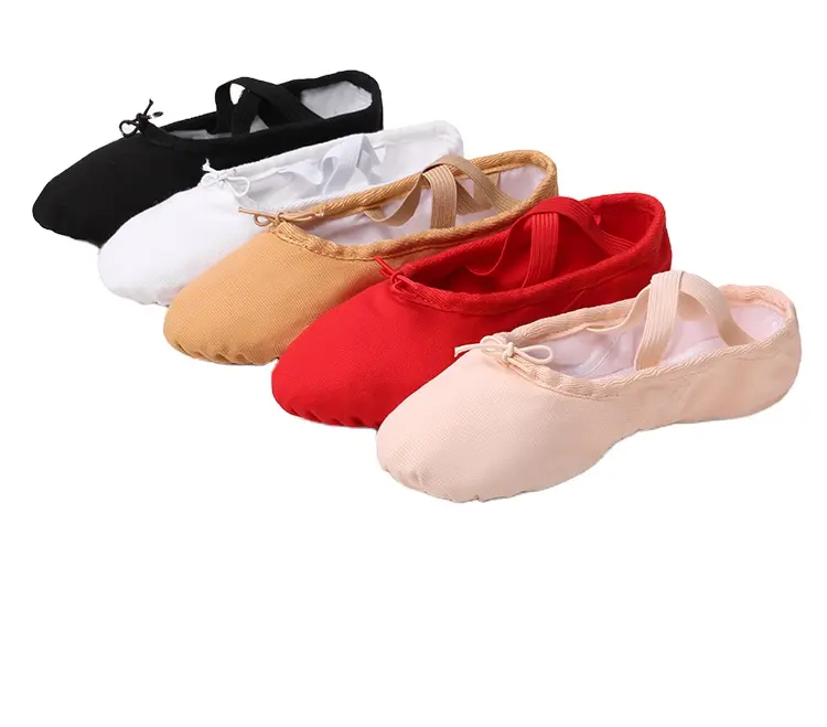 Polychrome Frenulum Ballet Shoes for Girls for Dance