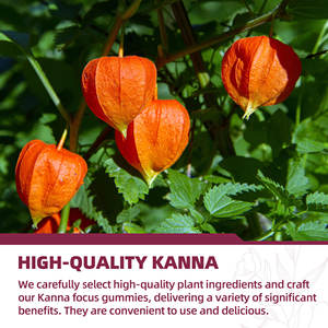 Jiaoming Kanna Gummibärchen zur Beruhigung und Konzentration Kanna-Extrakt Weiche Kaubare Beruhigungs-Gummis - Product Image 4