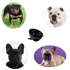 Ciotola Ecologica in Ceramica per Cani e Gatti con Tappetino Antiscivolo per <span class=keywords><strong>Bulldog</strong></span> Francesi - Product Image 5