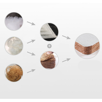 Matelas en fibre de coco moderne et confortable, écologique, meubles tatami pour la chambre à coucher