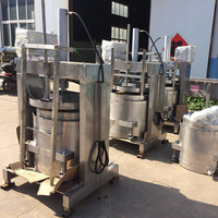 2TPD Automatische Garri Productielijn Cassave Verwerkingsmachine voor Garri Productiefabriek in Nigeria Tapioca Reiniger+Schiller+Friteuse