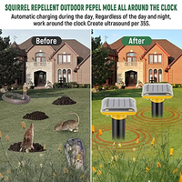 Répulsif animal Saijzek solaire ODM/OEM, vente chaude sur AMZ, avec piles, matériau ABS solide pour les taupes, les serpents, les gaufres, les campagnols