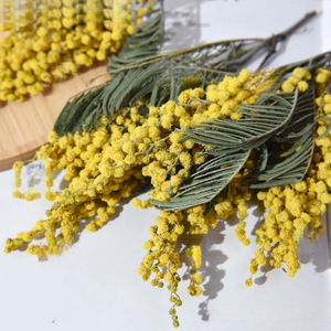 <span class=keywords><strong>Ramo</strong></span> de Mimosa preservado seco dorado Natural para velas perfumadas accesorios de fotos de Navidad decoración de pared de Instagram - Product Image 6