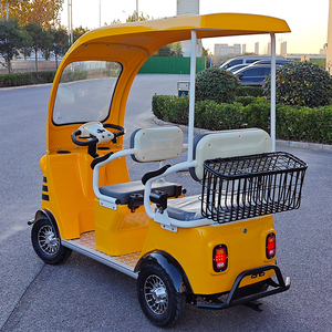 Vehículo Urbano Eléctrico de 3 Pasajeros con Batería BAK, Mini Autobús Turístico Eléctrico para Uso en Zoológicos - Product Image 3