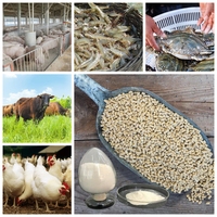 L-ascorbyl-2-phosphate de qualité alimentaire 35%, vitamine C stable pour l'alimentation animale, supplément de vitamine C pour l'aquaculture, Vietnam, Thaïlande