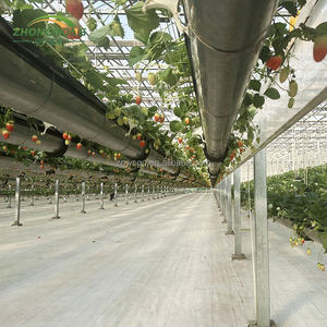 산업용 대형 유리 온실 에이커당 비용 1헥타르 10000평방피트 상업용 수경재배 평방피트당 비용 - Product Image 6