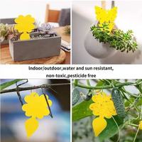 Blau-Gelbe Mehrfach-Design Klebefalle mit Antioxidationsklebstoff für Außenbereich, Garten, Kleine Farmen und Zimmerpflanzen im Großhandel