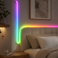 Bande lumineuse LED néon de haute qualité, flexible en silicone, éclairage ambiant rond pour la décoration de la maison, lumière d'ambiance vibrante