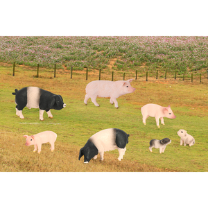 Figurines d'animaux en PVC massif, modèle de simulation de cochon et sanglier, jouets en gros - Product Image 2