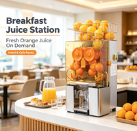 Presse-agrumes commercial multi-têtes en acier inoxydable, machine à jus automatique pour oranges et agrumes frais, idéale pour les magasins de détail et les buffets