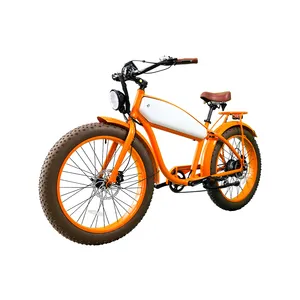 Harley bicicletta elettrica fat tire ebike pedal assist adult city scooter vintage Electric e cycle display rack