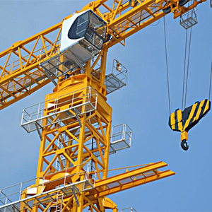 <span class=keywords><strong>Grue</strong></span> à tour à toit plat Suntec et <span class=keywords><strong>grue</strong></span> à tour Hammerhead QTZ80 TC6012-6 - Product Image 5