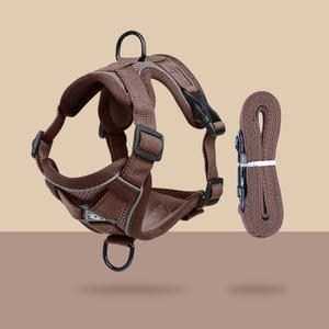 Harnais de marche sans pression Protection de type réglable pour laisse de chat Rivet solide personnalisé Polyester/Nylon/Velours - Product Image 2