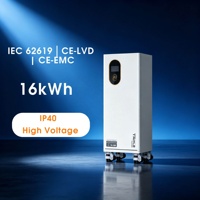 Sistem Baterai Tegangan Rendah Solax TB-LD160 16kWh untuk Penyimpanan Energi Surya Komersial dan Industri, serta Penyimpanan Energi Surya Rumah Tangga