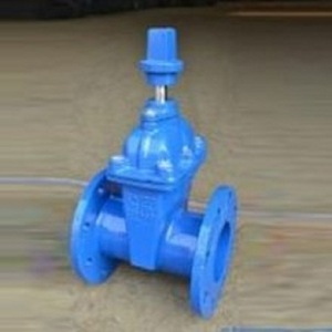 Vanne à opercule à joint souple Longyao Shuangyong Valve Manufacturing Sz45t 16 en fonte ductile pour eau basse pression, à opercule simple - Product Image 1