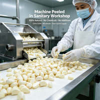 Ail Pelé OEM ODM Qualité Supérieure Certifié HACCP pour Vente en Gros Direct Usine Ferme Dernière Récolte Marque Propre