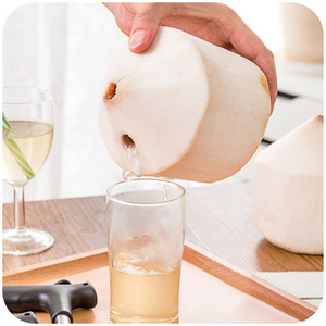 Coconut Opener Stainless Steel Manual Kitchen <b>Tool</b> For Fresh Coconut Opening - Product Image 4