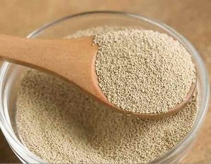Venta al por mayor <span class=keywords><strong>de</strong></span> alimentos secos instantáneos, 500 g/bolsa para hornear - Product Image 4