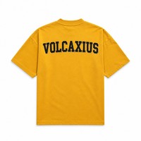T-shirt vierge de luxe 240 GSM, coupe moderne minimaliste, en coton 100% filé à l'anneau, style de luxe, impression de logo personnalisée alternative