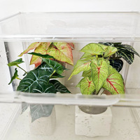 Serre d'incubation transparente en acrylique empilable SMOOTUNING pour plantes tropicales, idéale pour la coupe de fleurs et l'humidification en intérieur