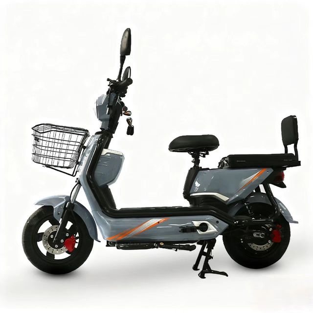 Factory Delivery and Commuting Dual-purpose Electric Bicycle with Foldable Seat Powerful Ebike