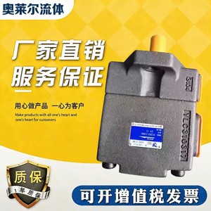 Bomba de Pistones Axiales Hidráulica Ylc Pv2r3 94 F1 350 Bar de 1 Etapa con Accionamiento Eléctrico de Hierro - Product Image 2
