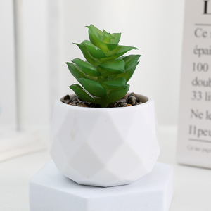 Bürodekoration Keramik-Blumentopf kleiner Kunststoff-Bonsai Minikitze künstliche Sukkulenten im Topf - Product Image 1