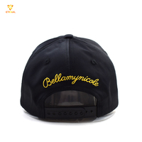Gorras de Béisbol Personalizadas al por Mayor de Alta Calidad, Forradas de Satén, de Seda Negra, con Visera Curva, de 6 Paneles, para Hombre y Mujer, con Diseño de Leopardo y Oxford