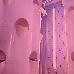 Tour de culture aéroponique et hydroponique personnalisée de 20 pieds, système de culture de légumes, système de contrôle intelligent IoT, technologie IoT intégrée - Product Image 4