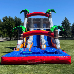 Tobogá<span class=keywords><strong>n</strong></span> inflable grande de grado Comercial de doble carril de 20 pies, toboganes acuáticos inflables de grado comercial, patio trasero - Product Image 2