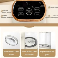 Bouilloire Électrique en Verre Borosilicate Grande Capacité 4L, 800W, Température Réglable, Vente en Gros, Fabrication Personnalisée