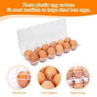 Cartons à œufs en plastique transparents rectangulaires pas chers, 2x6=12 trous, écologiques, empilables, plateaux individuels pour œufs, emballage pour œufs de ferme