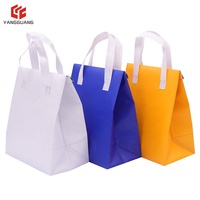 Sac Isotherme Six Canettes Robuste en Non-Tissé avec Logo et Taille Personnalisés, Isolation Thermique en Feuille d'Aluminium, pour Vente en Gros