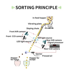 Dễ dàng-to-hoạt động vỏ hạt và hạt nhân SORTER hồng ngoại tách hạt nhân và vỏ - Product Image 2