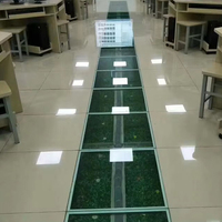 Lingding 600x600mm Antistatische Verstärkte Transparente Glas-Doppelbodenplatten Modell LD600 2-Jahres-Garantie Modernes Design für