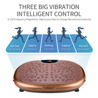 Machine à vibrations électromagnétiques avec panneau de commande LED pour usage domestique, portable, favorise la circulation sanguine