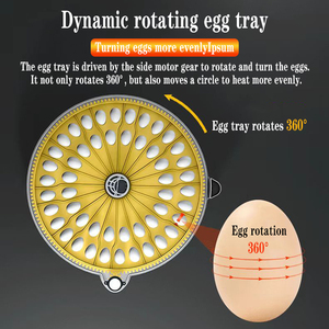 Bán trực tiếp nhỏ hộ gia đình lồng ấp hoàn toàn tự động lồng ấp trứng thông minh chăn nuôi lồng ấp - Product Image 4